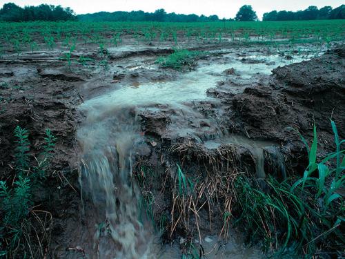 Runoffofsoilfertilizer